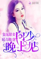 逆时光邂逅向先生无弹窗,逆时光邂逅向先生最新章节阅读,逆时光